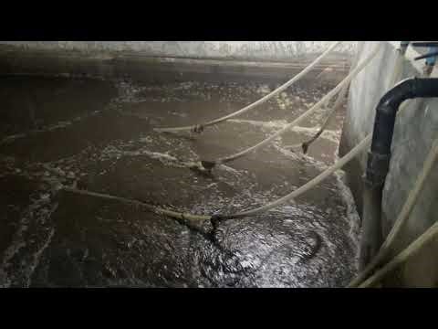 STP Walk Through Video - SBR Technology