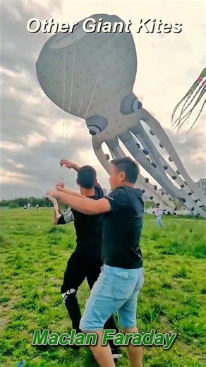 Other Giant Kites vs LAST ONE SHOCKED🤯 #kite #trollface #giantkite #kiteflying #fypシ #viral #shorts