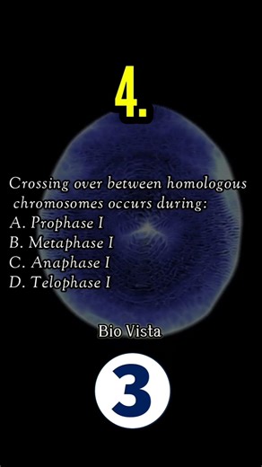 5 Important Questions on Cell Cycle & Cell Division | Class 11 Biology | NEET