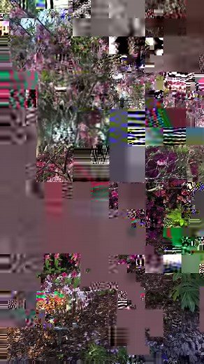 Did you know that we have a native azalea in the Gardens known as Mountain Azalea? 🌺 See what Lucy has to say about this interesting plant. | Brookgreen Gardens