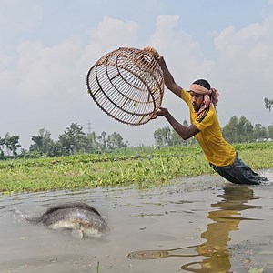 35K views · 183 reactions | Wow  Amazing Polo Fishing - Village Boy Catching Fish With Bamboo Tools - Fishing With Polo (Part-35) #fishing #polofishing #fishingvideo | Fishing 24 | Facebook