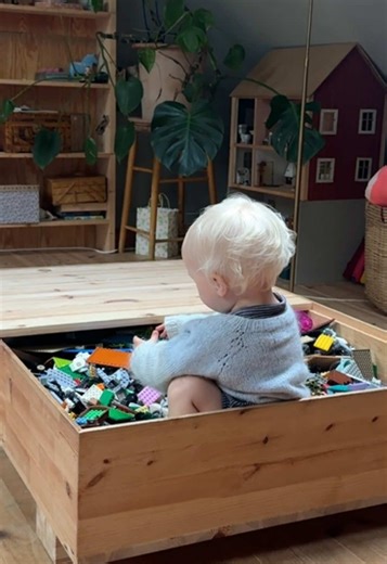 LEGO Storage Solutions for Family Life