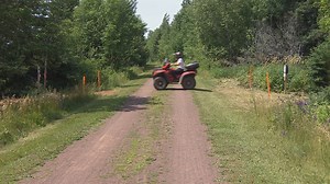 N.S. bans forest activities to prevent wildfires amid dry spell