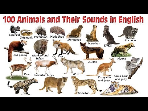 100 Animal Names and their Sounds in English | Animal Names | Animal Sounds | Kids Video | Wild
