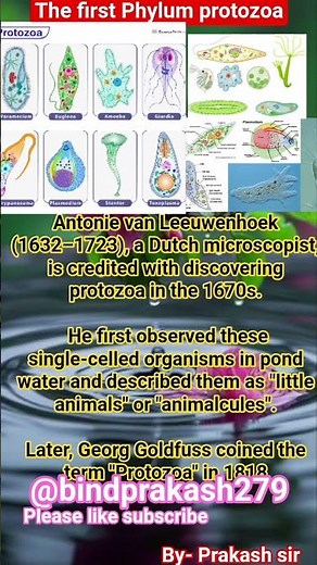 #viral #biology facts #more about phylum protozoa discovery