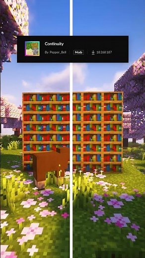 BEST Texture Pack And Mod: Continuity Minecraft #shorts