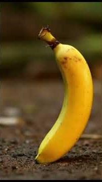 This Frog Has More Attitude Than Me #funny #imagecapture #funnymemes