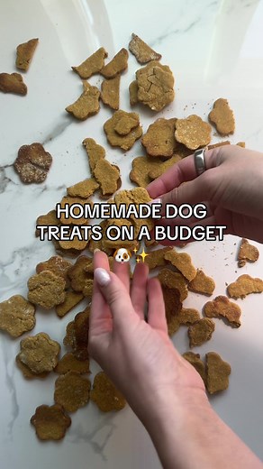 Replying to @DLay0056 Ive been getting so many questions on my budget friendly cheap dog treats! This made well over 100 treats and they’re filled with healthy ingredients! 😋✨ #homemadedogtreats #healthydogtreats #dogmom#dogtreatsrecipe #dogfood#dogmusthaves