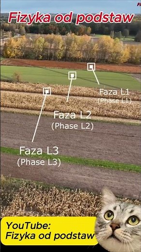 400kV on the pole section 2 #science #physics #technology