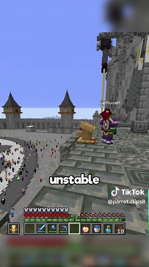 I Ran for King on the Unstable SMP Part 16 #fyp #minecraft #parrot