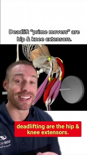 Deadlifts ARE NOT a “Back Exercise”