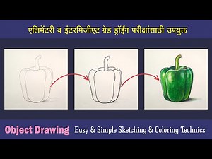 How to draw a Capsicum with oil pastel step by step, bell pepper step by step, easy draw capsicum