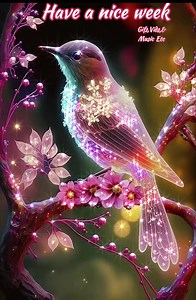 209K views · 6.2K reactions | Have a nice week | Gifs, Vids & Music Etc | Facebook