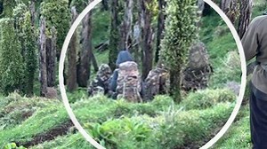 Missing Marokopa family: Former SAS tracker says soldiers could find Tom Phillips within two weeks