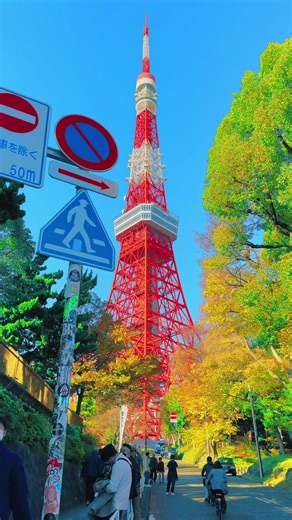 おすすめのアカウント