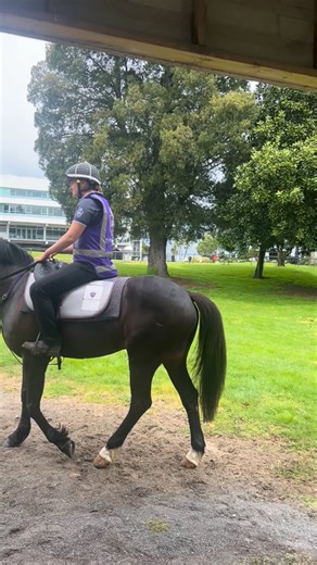 71 reactions | That’s a wrap on Day 2 of the breeze-ups  Now to put the finishing touches on our standout draft before @karakachat ✨ | Riverrock Farm | Facebook