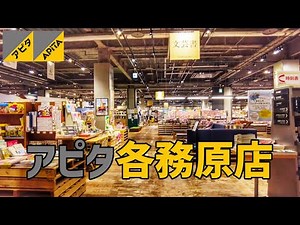 【各務原市】 アピタ各務原店を歩く APITA / Shopping Mall Walking Tour 2025年5月度