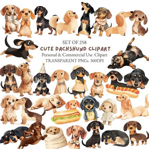 Watercolor Dachshund Clipart Bundle | Cute Sausage Dog Clipart | Wiener Dog PNG | Dachshund Puppy Art | Dog Lover Clipart | Dog Lover PNG - Etsy