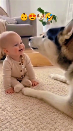 Baby Meets Dog for the First Time | Cutest Reaction Ever