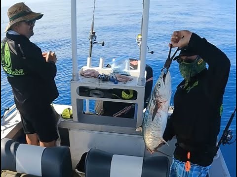 🎣 Epic Fishing Adventure on Hopkinson reef - Great Barrier Reef - North Queensland Australia! 🐟