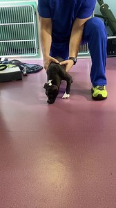 4.4K views · 134 reactions | It starts with a little bit of HOPE....