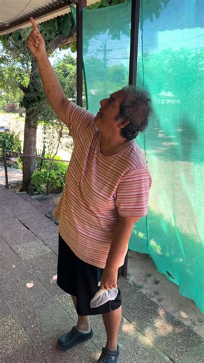 Abuela che rojaihu: Momentos de amor familiar