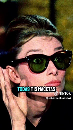 Plantas Silvestres y Callejeras: Curiosidades del Trébol