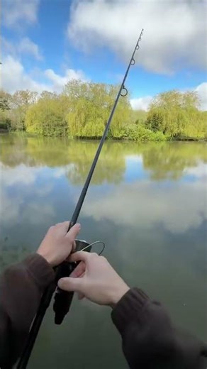 Why did my pop-up come off? What did I do wrong? (Beginner carp fishing)