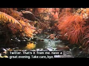 Live Channel 4 Continuity, April 2016