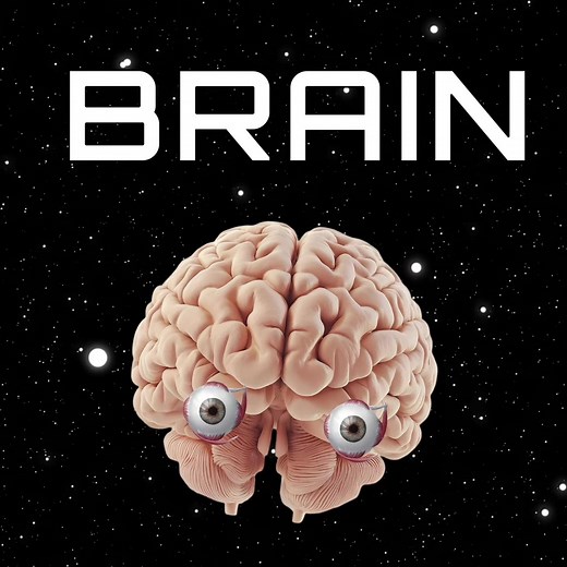 Exploring the Complexity of the Human Brain