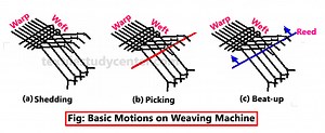 Motion of Loom