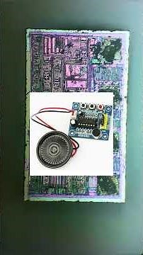 ✔️ Musical Card Under the Microscope