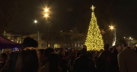 Top holiday events in the Triangle for 2025: tree lightings, parades and more
