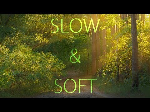 Soft Background Music | Slow and Gentle Instrumental for Relaxed Videos and Voiceovers