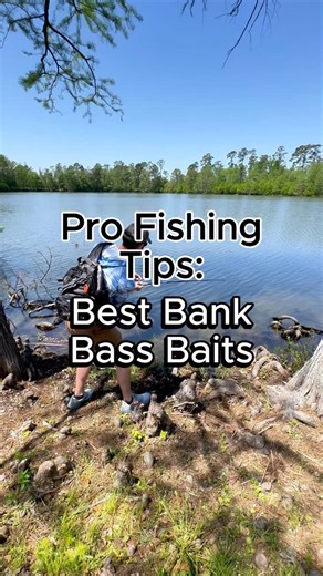 Juran Adventures on Instagram: "The best bank fishing baits for bass. #fishing #fishingtips #bassfishing #bankfishing #pondfishing"