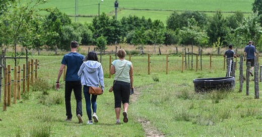 Randonnées Adeps et FFBMP en Wallonie : 21 randonnées ce week-end des 5 et 6 juillet 2025