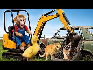 Monkey Farmer And Duckling Uses Excavator To Rescue Cat From Abandoned Car - Monkey Farm Work