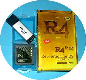 R4i Gold 3DS Flashcard with Wood Kernel for Nintendo 3DS