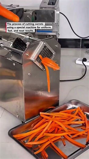 Carrot Cutting Process Using a Machine | Fast, Neat, and Uniform!
