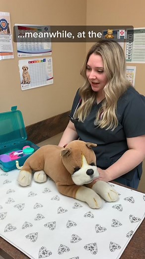 We had a great day at our first ever teddy bear exam clinic today, mostly 😹 #vet #vetlife #vettok #veterinarian #vettech #vettechlife #areyouevenqualified