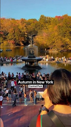AUTUMN IN NEW YORK 🍂 Walking Through Central Park on a Perfect Fall Day in Manhattan #centralpark