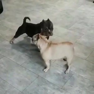 Hey you! Let’s battle😆😆😆 | MAX Cleaner