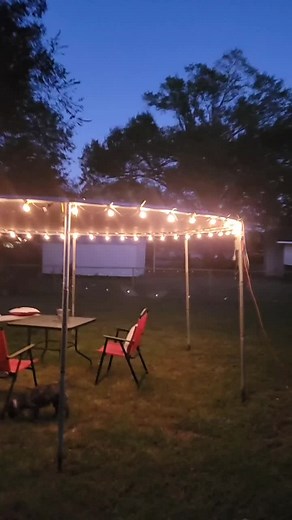 Storm-Resistant Trampoline Canopy for East Texas Weather