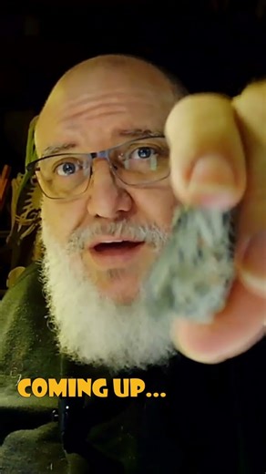 Coming up tomorrow: The Millenium Falcon