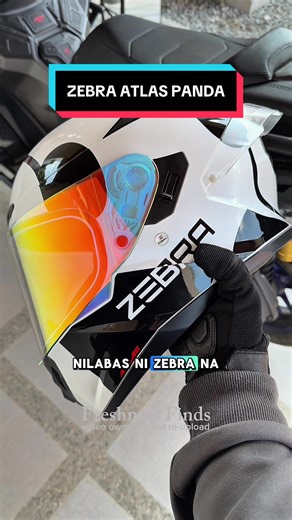 Comprehensive Review of Zebra Panda Full Face Helmet