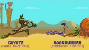 Desert Demolition Starring Road Runner and Wile E. Coyote (Genesis) Playthrough - NintendoComplete