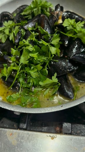 Amazing Mussels This Time Of Year cuzz Martoranos of Lauderdale | steve_martorano