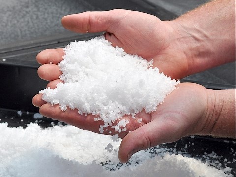 Harvesting Canadian Sea Salt