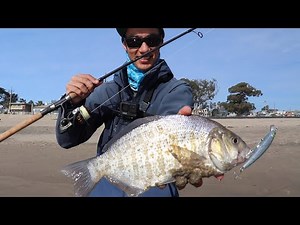 TSUNAMI Surf Fishing for Big California Slabs