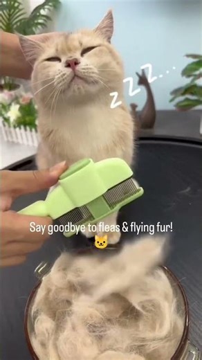 Flea Comb for Cats Dogs